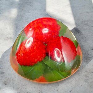Dome Shape Acrylic Resin Lucite Round Paperweight Red Raspberry Leaves Vintage